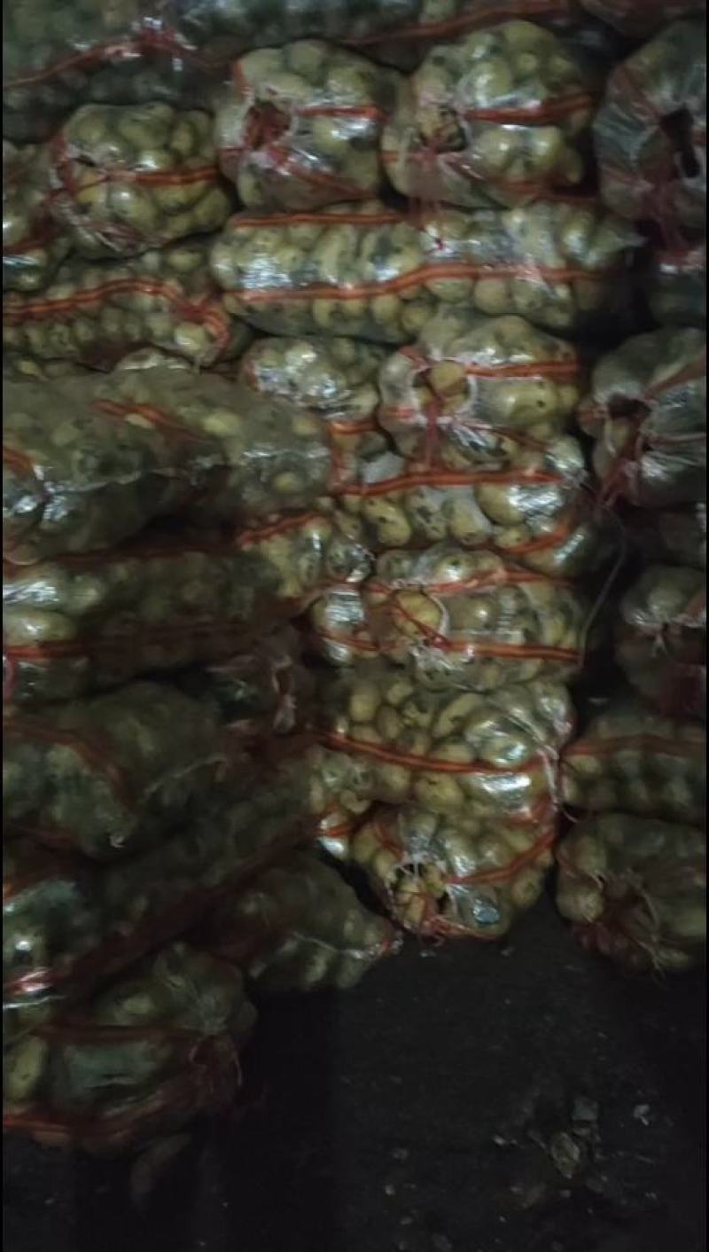 是您想要货源，兴佳，可水洗，干洗完货更是美丽的，诚实守信