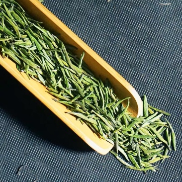 四川茶厂，厂家批发价格春茶上新，多种茶叶，