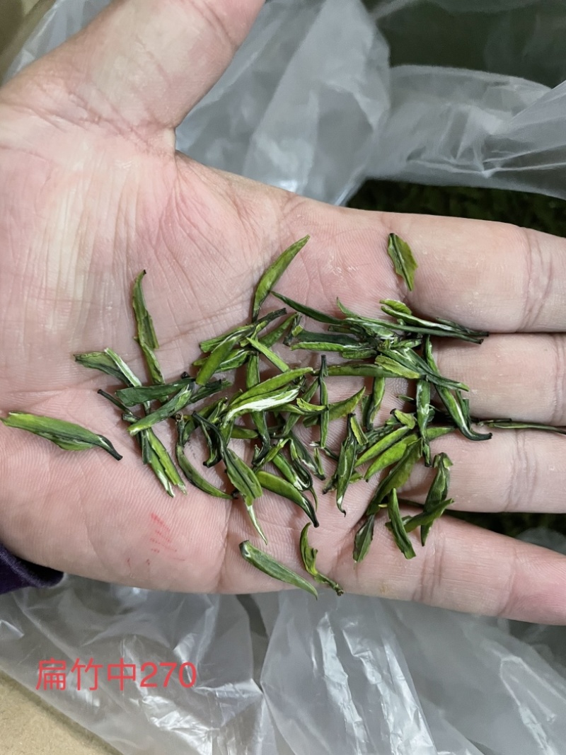四川茶厂，厂家批发价格春茶上新，多种茶叶，