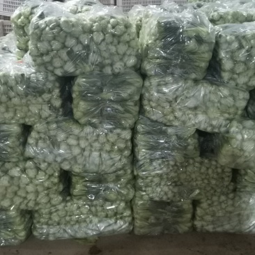精品上海青小油菜，，常年供应，1保质保量