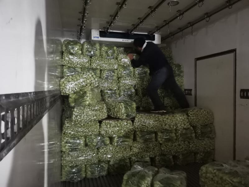 精品上海青小油菜，，常年供应，1保质保量