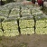基地直供，精品上海青小油菜，，品质优良，价格公平合理
