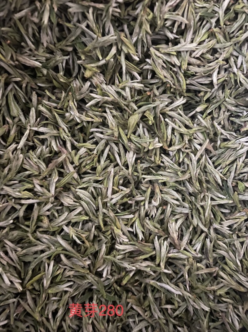 四川茶厂，厂家批发价格春茶上新，多种茶叶，