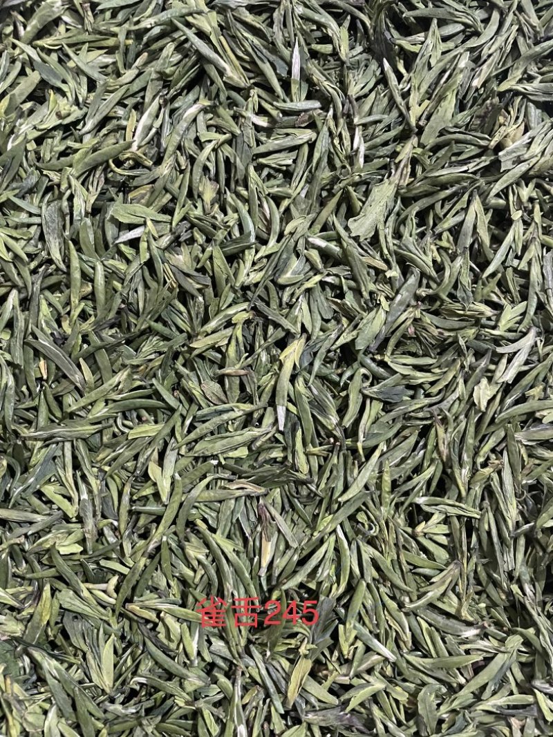四川茶厂，厂家批发价格春茶上新，多种茶叶，