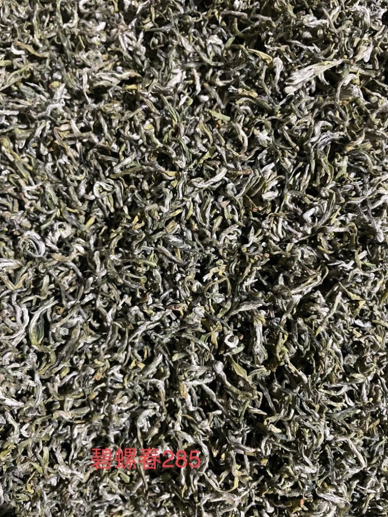 四川茶厂，厂家批发价格春茶上新，多种茶叶，