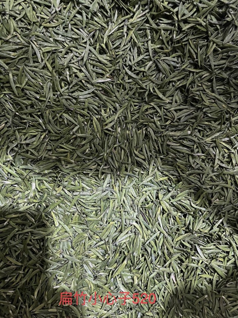 四川茶厂，厂家批发价格春茶上新，多种茶叶，