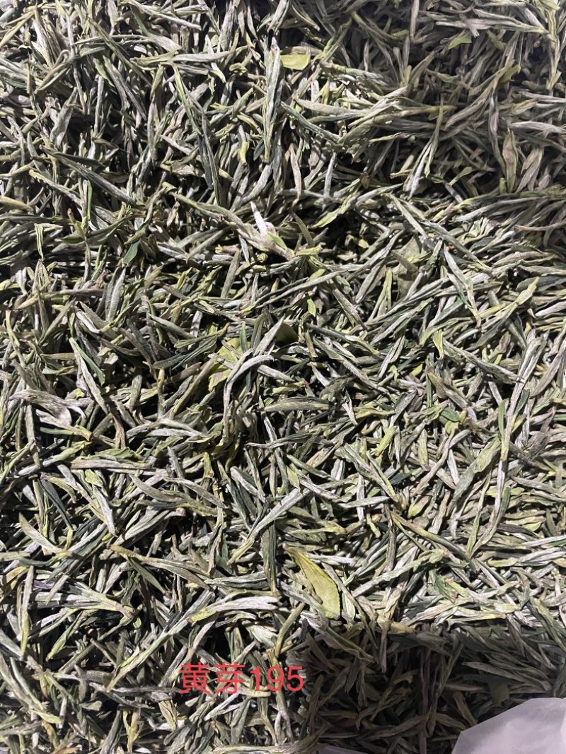 四川茶厂，厂家批发价格春茶上新，多种茶叶，