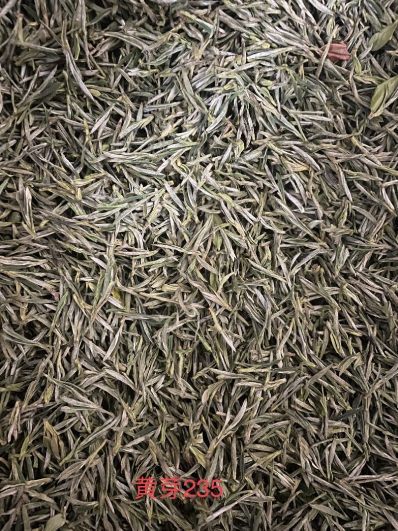 四川茶厂，厂家批发价格春茶上新，多种茶叶，