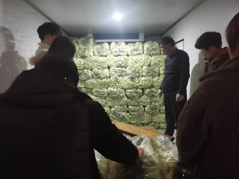 长期供应精品上海青小油菜，保质保量，电商，商超，，对接
