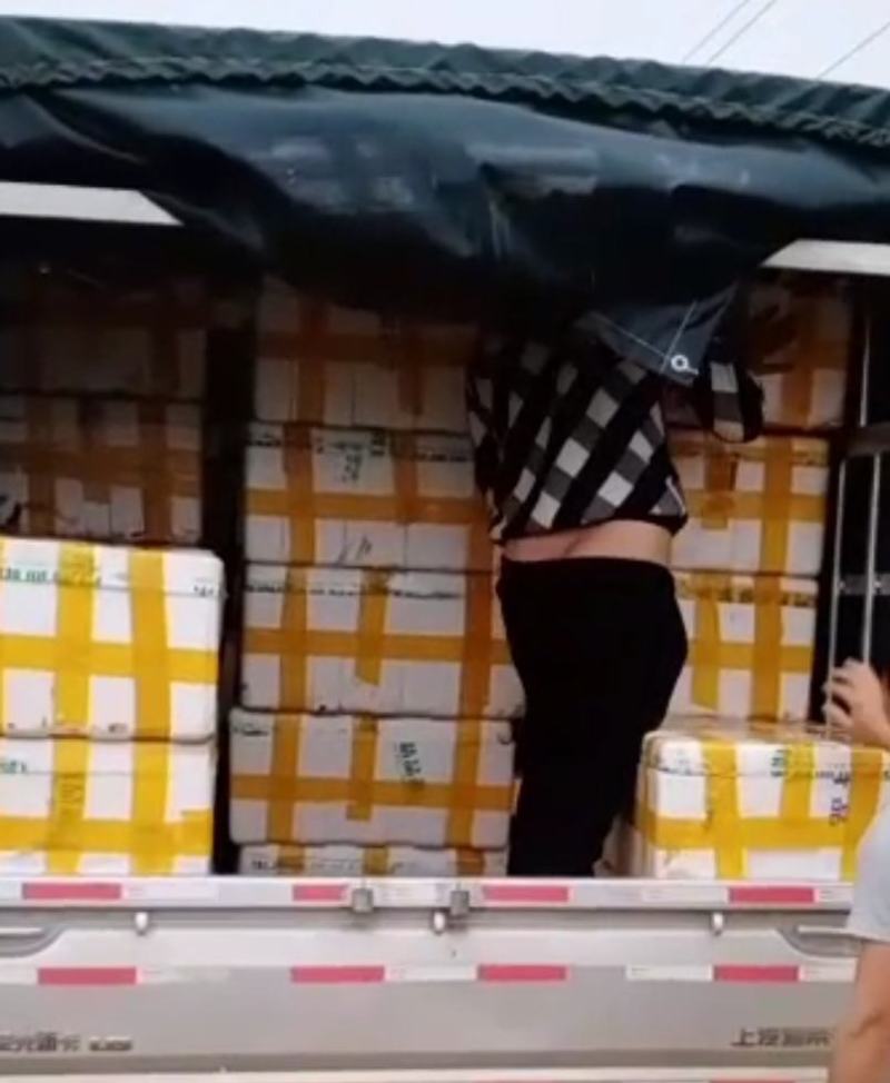 西贡蕉苗，粉蕉苗批发零售，产地直销，价格实惠，欢迎订购。