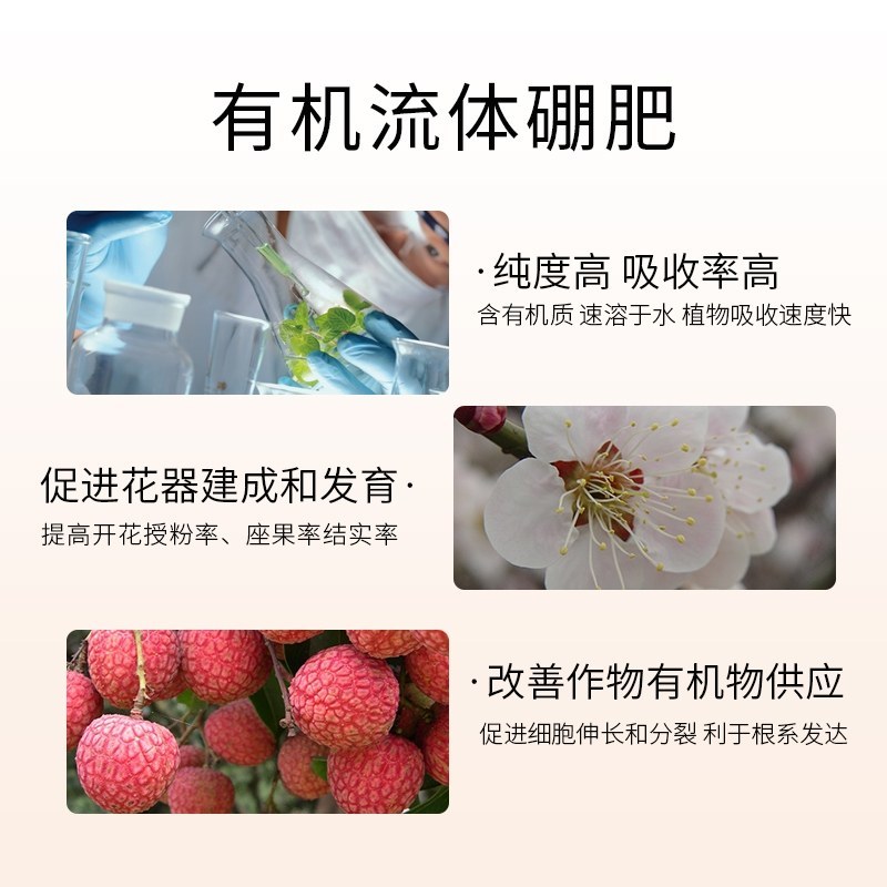 有机聚合硼肥保花保果提高坐果率快速补硼
