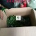 2023年菊花苗菊花秧老根苗