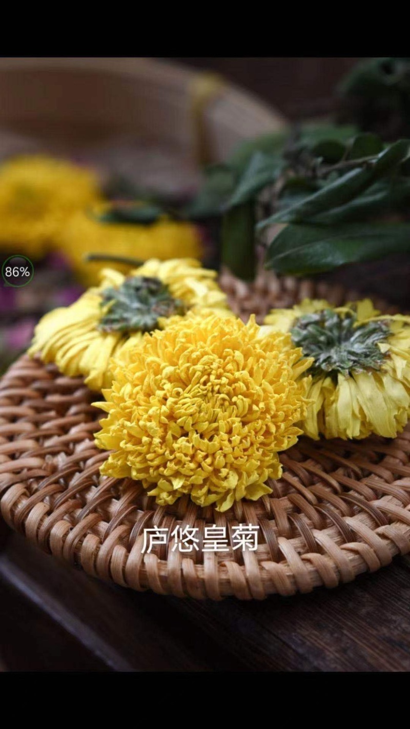金丝皇菊味道好、香味浓、色泽金黄、香甜可口。