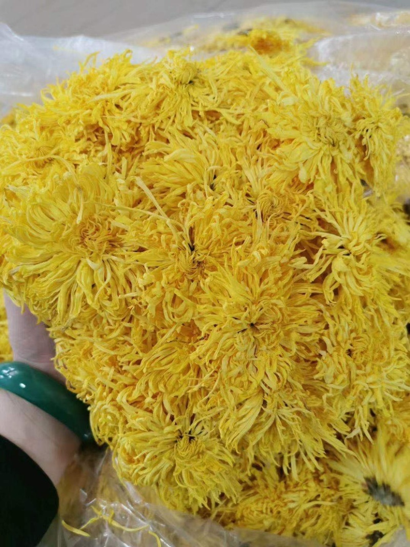 金丝皇菊味道好、香味浓、色泽金黄、香甜可口。