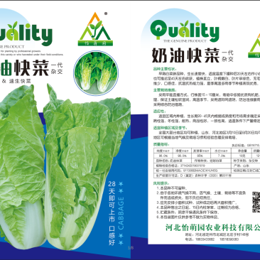 【减灾助农，河南加油】好吃的奶油白菜种子开始销售