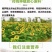 俄罗斯琥珀葵花油一桶5升一件两桶一桶5升