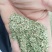 侧柏叶，中药材侧柏叶质量保证，经营各种中药材欢迎咨询合作
