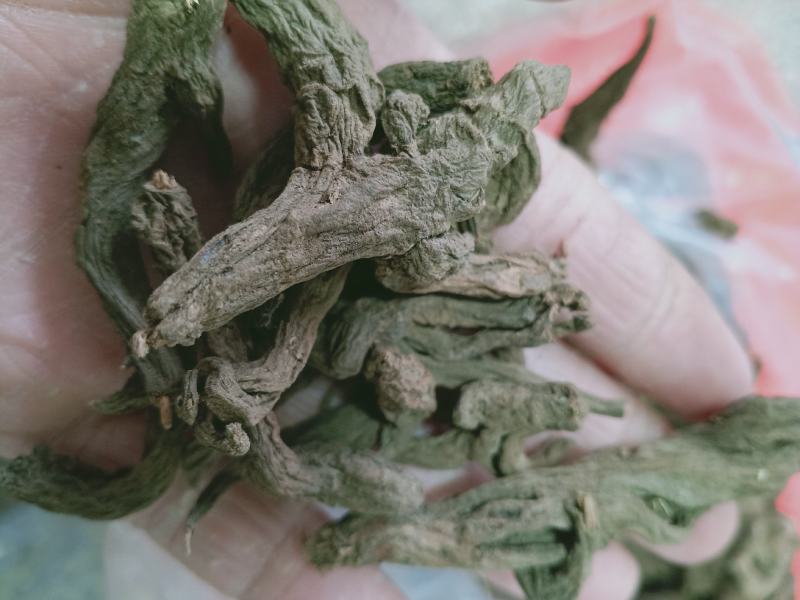 红大戟，正品京大戟，经营各种中药材欢迎咨询合作！