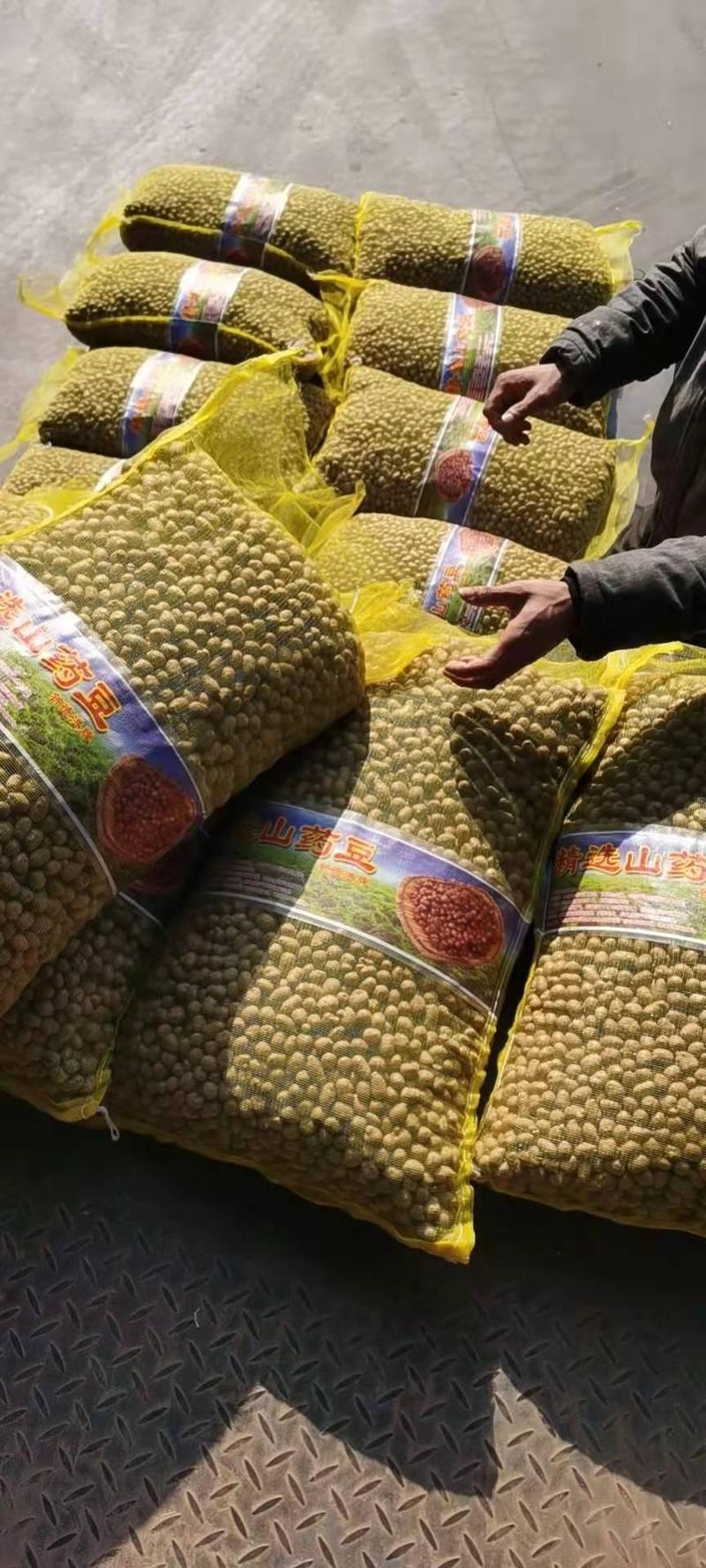 青州原产地批发零售优质白玉山药豆规格齐全价格合理
