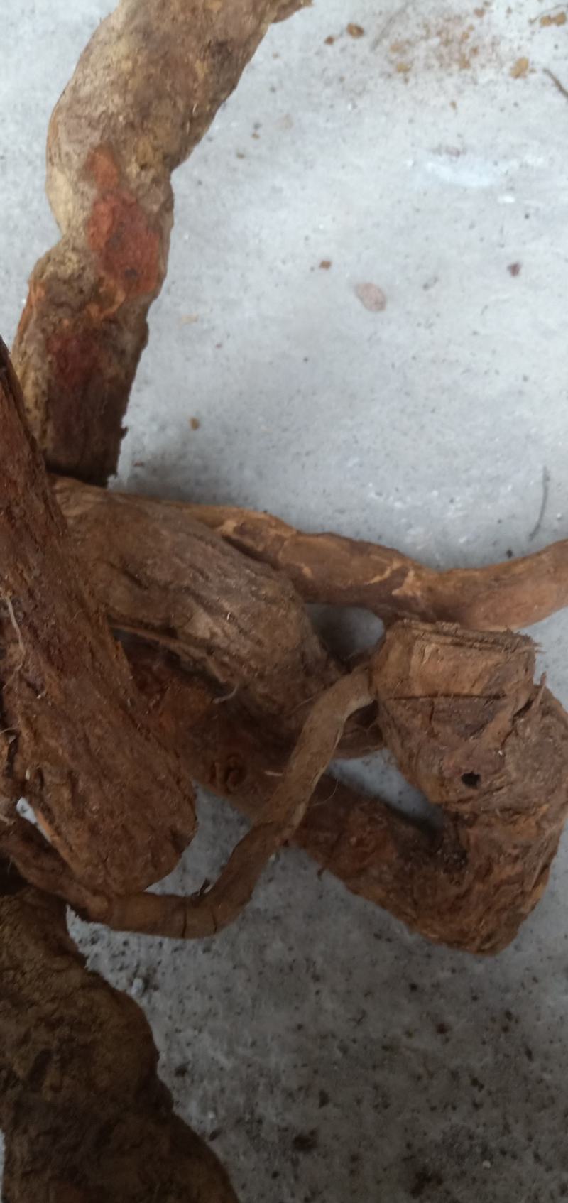 猕猴桃根，贵州大山野生货，，，，，，，，，，，，
