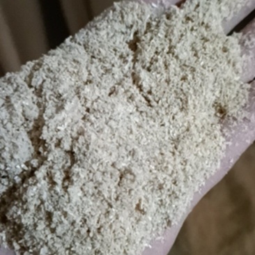 大米米糠为所有养殖户节约成本的不二之选