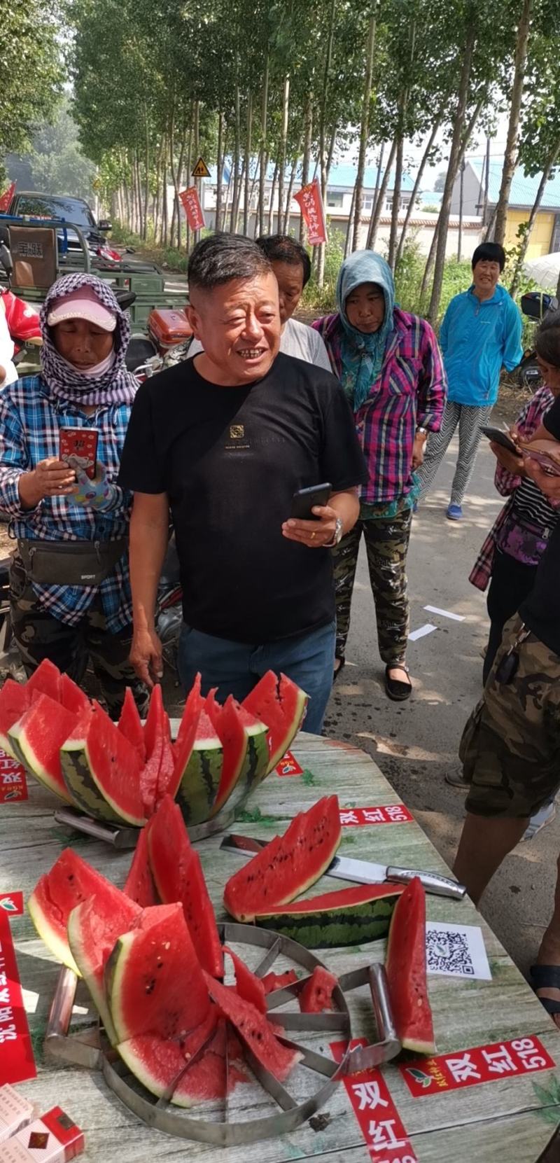 精品早熟甜王品种双红518甜王西瓜种子农业部登记品种