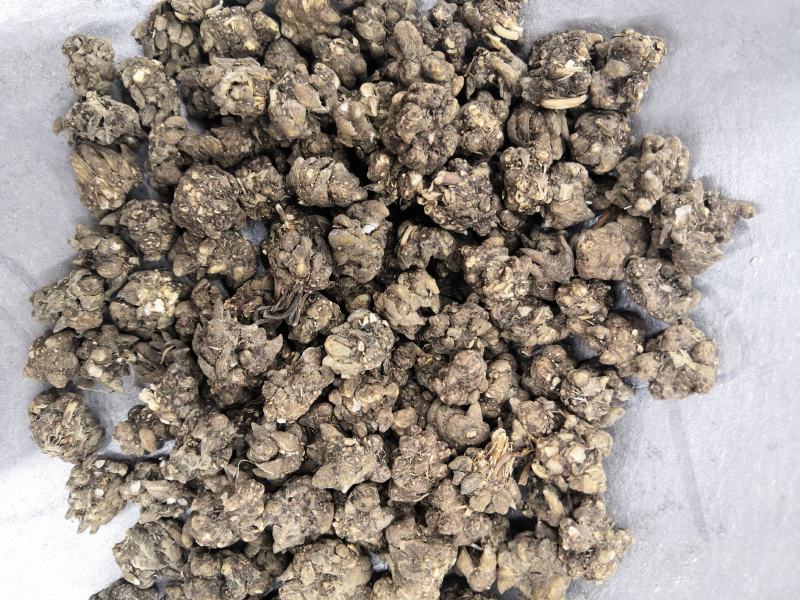 水洗猫爪草批发各种中药材新货各种中药材