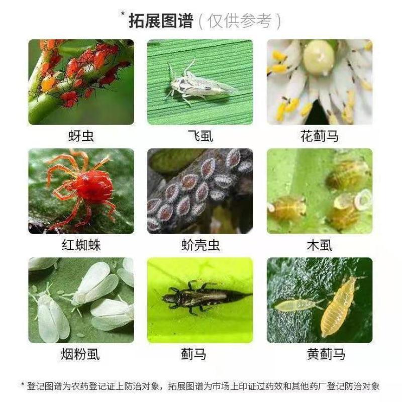 沪联22.4%螺虫乙酯蚧壳虫粉虱红蜘蛛蚜虫木虱农药杀虫剂
