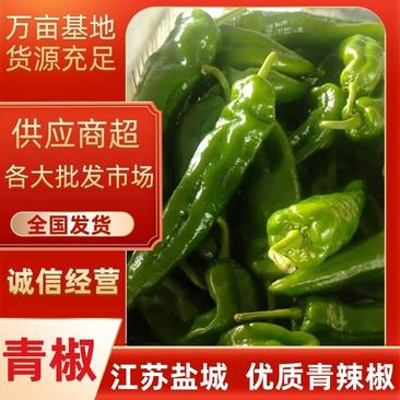 【推荐】大青椒一一产地直供价格便宜质量保证！江苏东台！