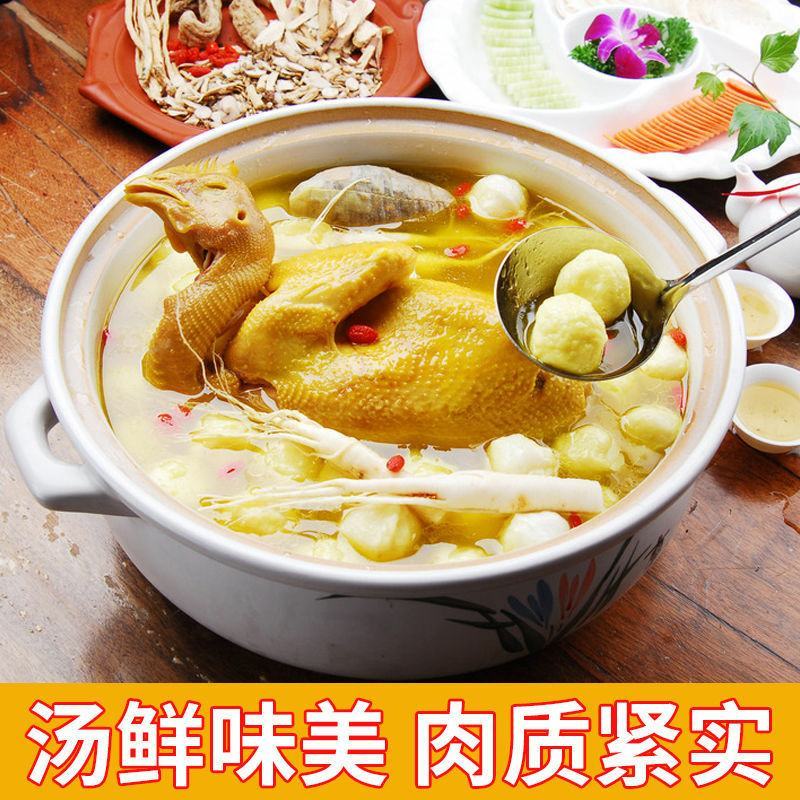 三黄鸡现杀正宗三黄鸡农家散养土鸡整只山鸡鸡肉月子鸡新鲜活