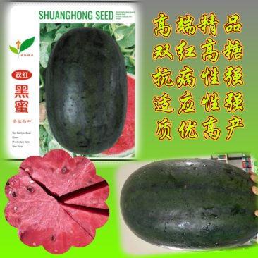 高端精品西瓜种子双红黑蜜墨绿色覆黑色条带适应性强抗病性强