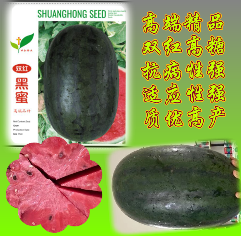 高端精品西瓜种子双红黑蜜墨绿色覆黑色条带适应性强抗病性强