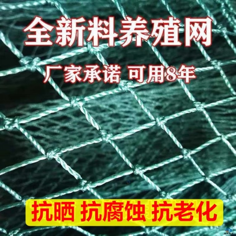 家禽养殖网养鸡网渔网山鸡网果园防鸟网围网天网爬藤网
