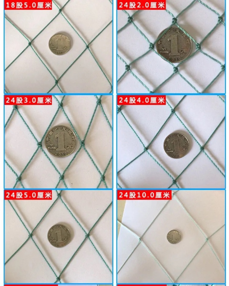 家禽养殖网养鸡网渔网山鸡网果园防鸟网围网天网爬藤网