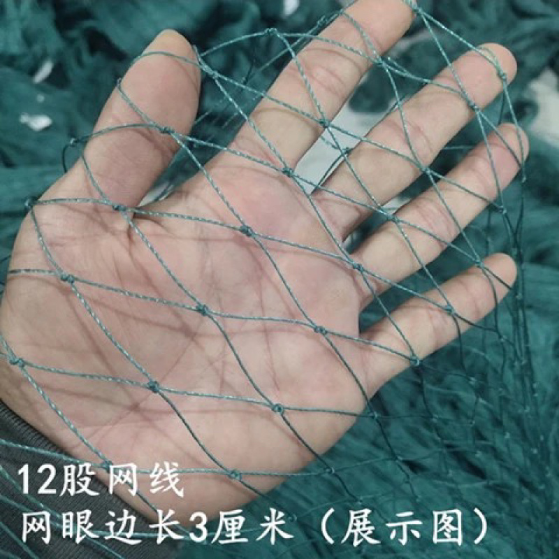 家禽养殖网养鸡网渔网山鸡网果园防鸟网围网天网爬藤网