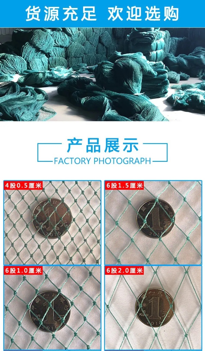 家禽养殖网养鸡网渔网山鸡网果园防鸟网围网天网爬藤网