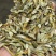 霍山石斛，，基地直发，茗斛坊石斛旗舰店，量大另议
