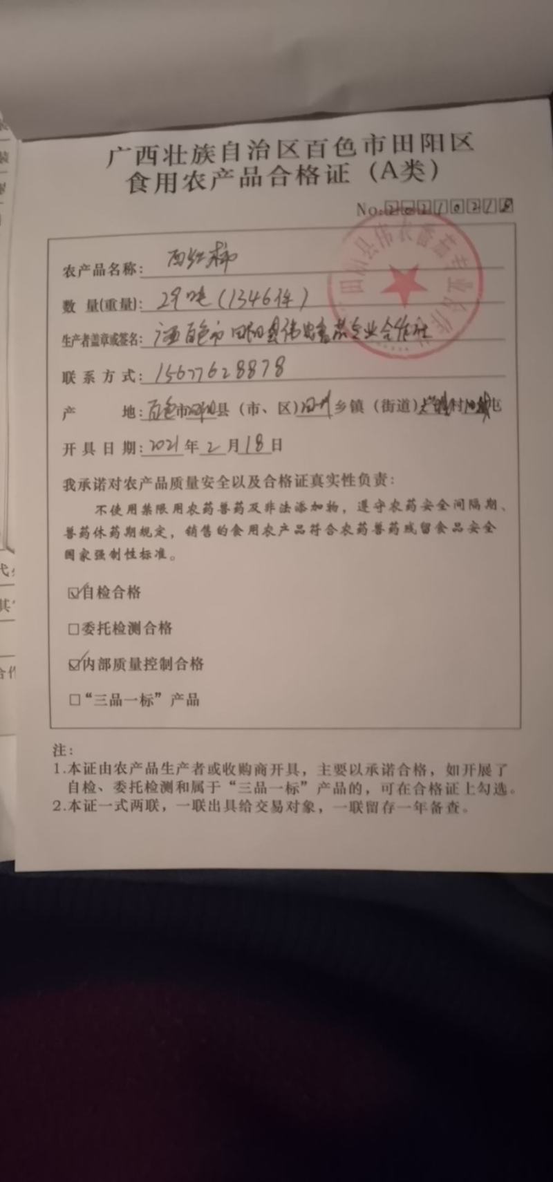 广西田阳区西红柿上市