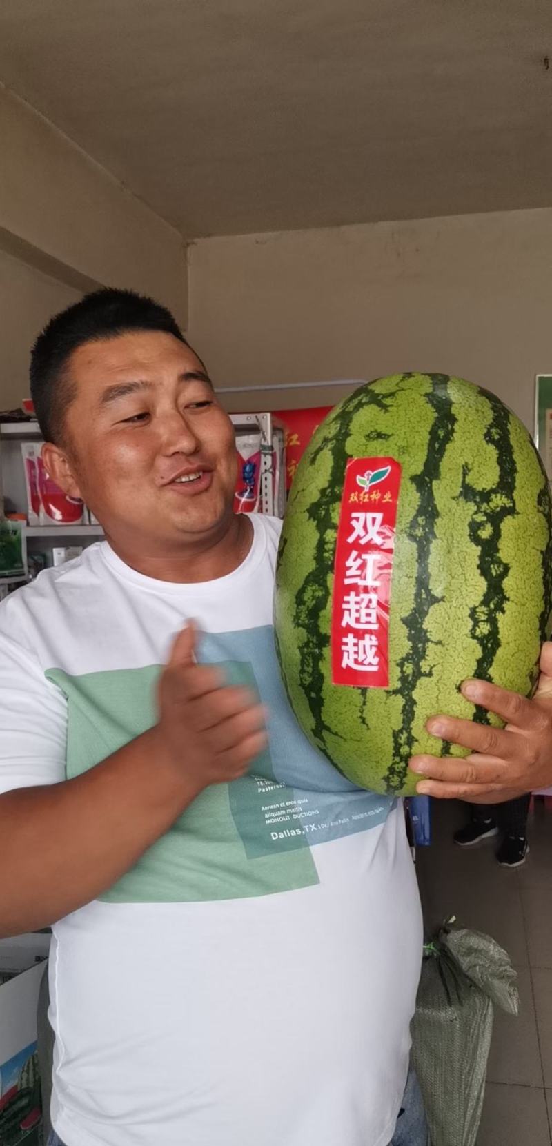 双红金城硒沙瓜种子双红超越西瓜种子农业部登记品种