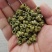 霍山石斛，，基地直发，茗斛坊石斛旗舰店，量大另议