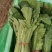 小白菜，细，中，粗，三种，适合各大市场，加工厂，