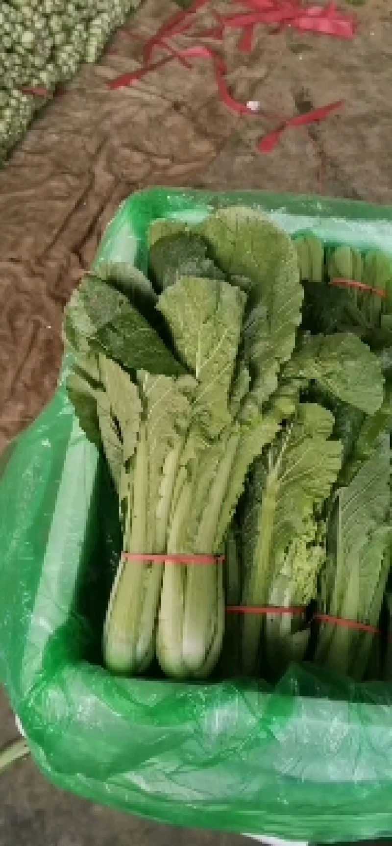 小白菜，细，中，粗，三种，适合各大市场，加工厂，