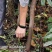 四季香椿苗红油香椿苗芽基地真直销