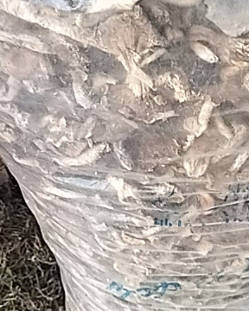 巴中食用菌多种杂菌组合，无硫无杂，产地直发欢迎联系