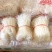 豌豆粉丝火锅粉地摊热卖销售10元三把模式粉丝批发