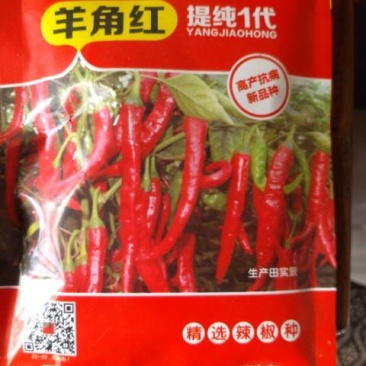 羊角红辣椒苗签合同保护价回收