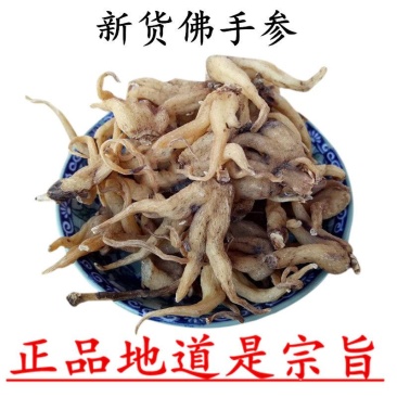 手掌参佛手参正品保障纯野生货可打粉专业批发中药