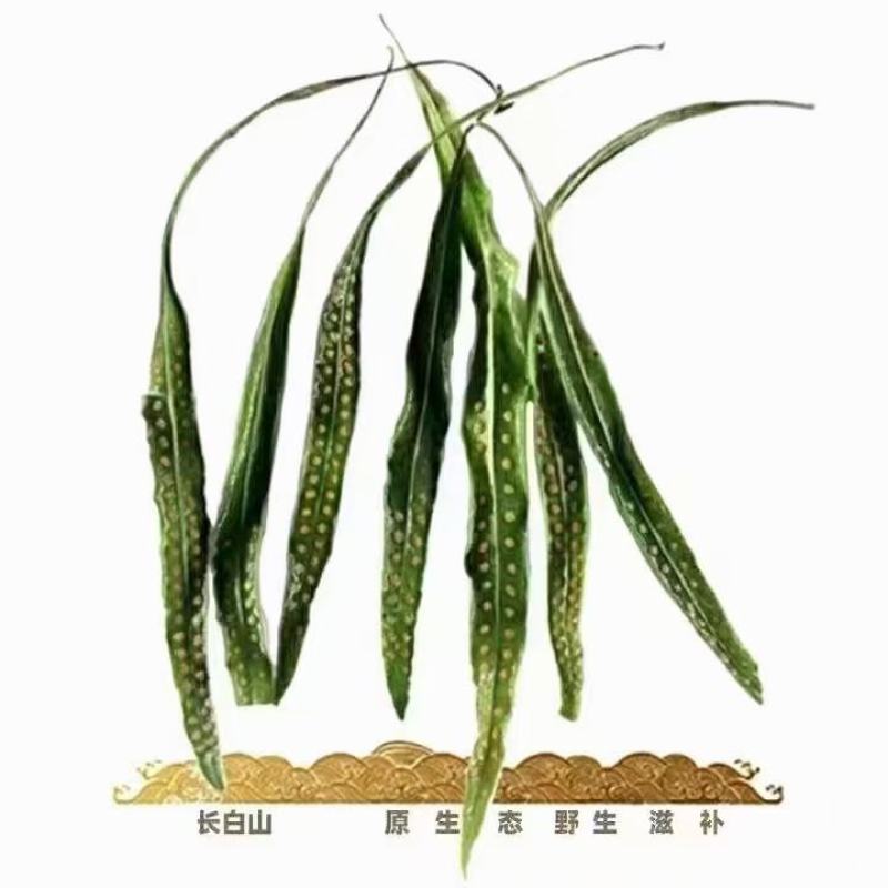 长白山，肾精茶，煮水喝大量现货一手货源常年供应售后无