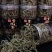 长白山，肾精茶，煮水喝大量现货一手货源常年供应售后无