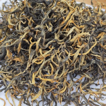 英德红茶英红九号春茶高香型红茶